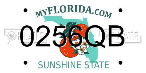 0256QB Florida License Plate