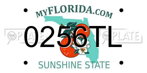 0256TL Florida License Plate