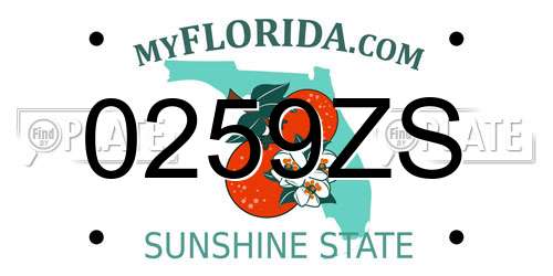 0259ZS Florida License Plate