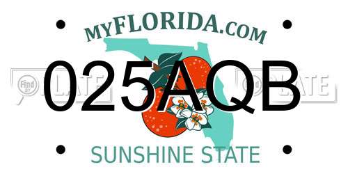 025AQB Florida License Plate