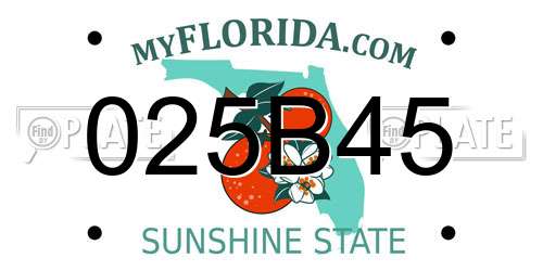 025B45 Florida License Plate