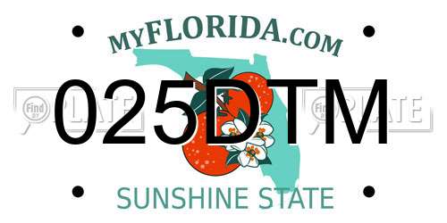 025DTM Florida License Plate