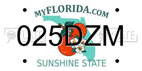 025DZM Florida License Plate