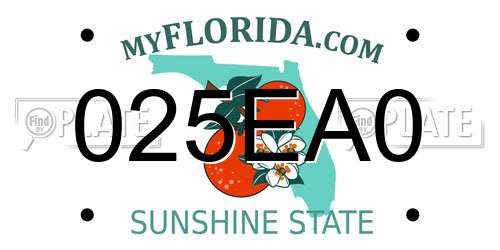 025EA0 Florida License Plate