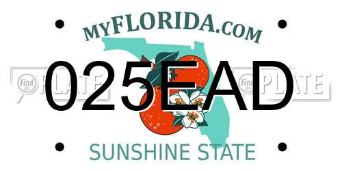 025EAD Florida License Plate