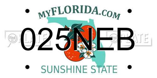 025NEB Florida License Plate