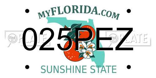 025PEZ Florida License Plate