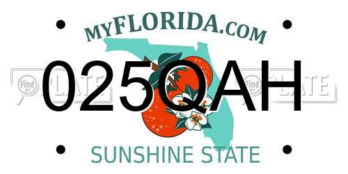 025QAH Florida License Plate