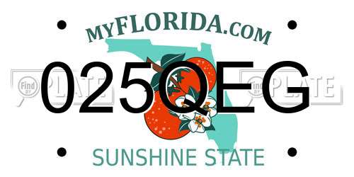 025QEG Florida License Plate