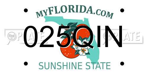 025QIN Florida License Plate