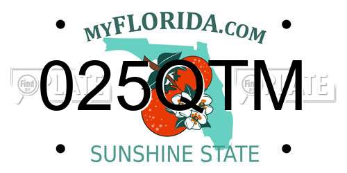 025QTM Florida License Plate