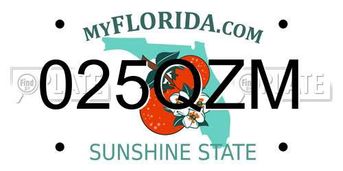 025QZM Florida License Plate