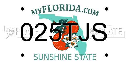 025TJS Florida License Plate