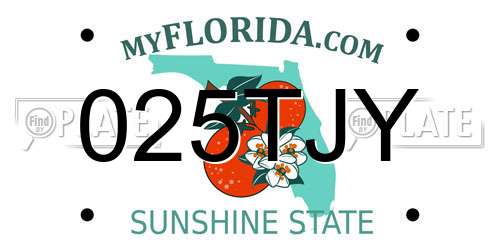025TJY Florida License Plate