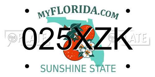 025XZK Florida License Plate