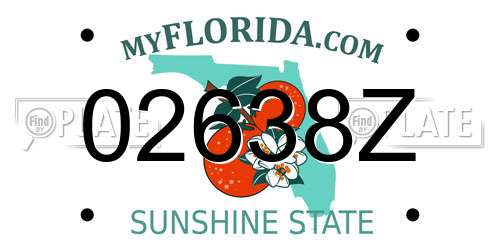 02638Z Florida License Plate