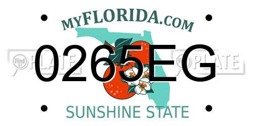 0265EG Florida License Plate