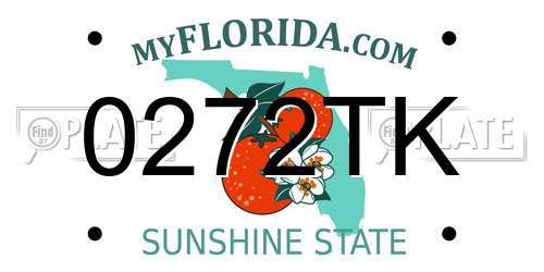 0272TK Florida License Plate