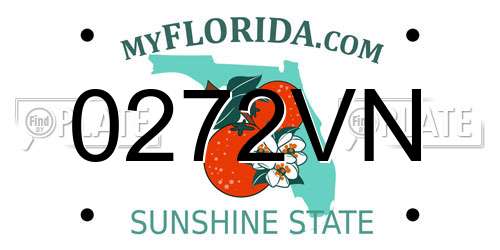 0272VN Florida License Plate