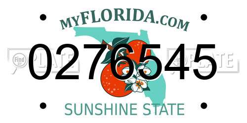0276545 Florida License Plate