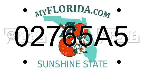 02765A5 Florida License Plate