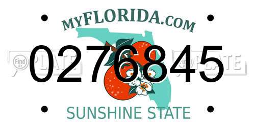 0276845 Florida License Plate