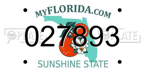 027893 Florida License Plate