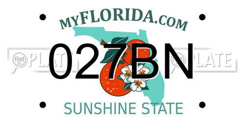 027BN Florida License Plate