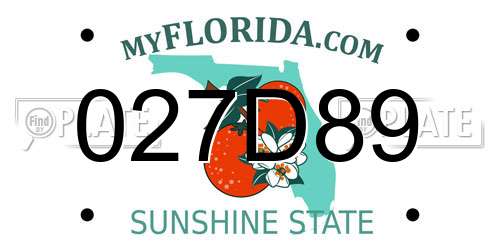 027D89 Florida License Plate