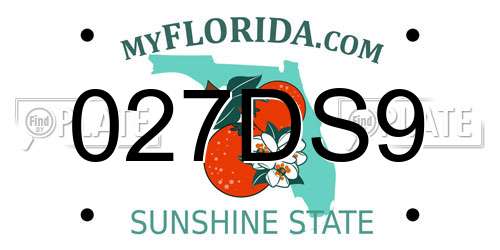 027DS9 Florida License Plate