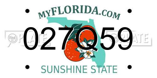 027Q59 Florida License Plate