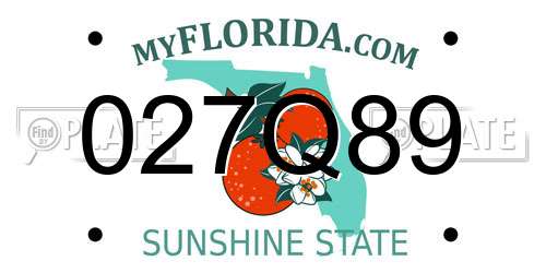 027Q89 Florida License Plate