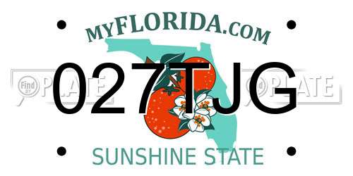 027TJG Florida License Plate