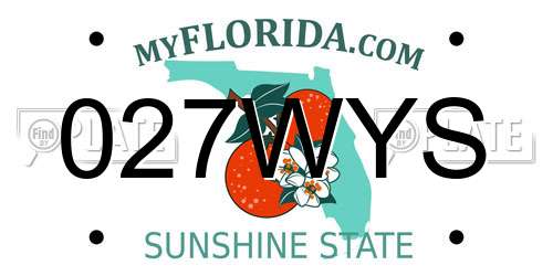 027WYS Florida License Plate