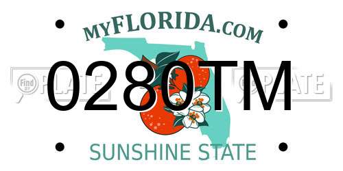 0280TM Florida License Plate