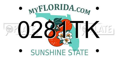 0281TK Florida License Plate