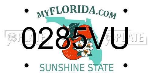 0285VU Florida License Plate