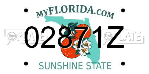 02871Z Florida License Plate