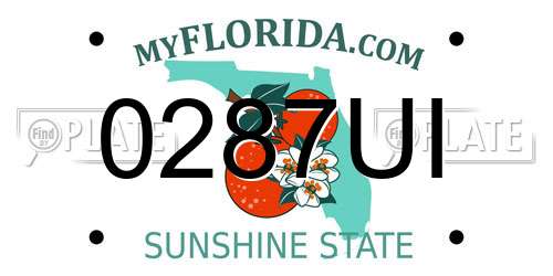 0287UI Florida License Plate