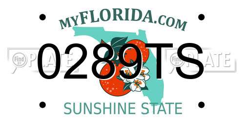 0289TS Florida License Plate