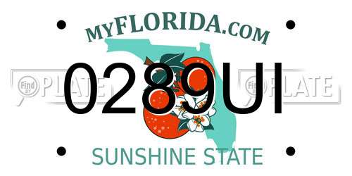 0289UI Florida License Plate