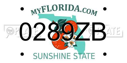 0289ZB Florida License Plate