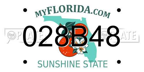 028B48 Florida License Plate