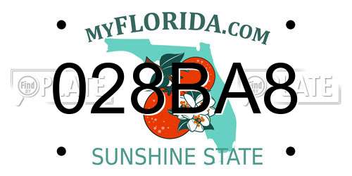 028BA8 Florida License Plate