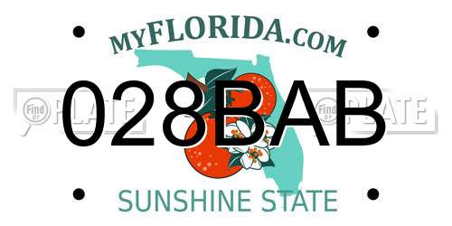 028BAB Florida License Plate