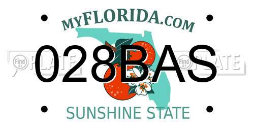 028BAS Florida License Plate