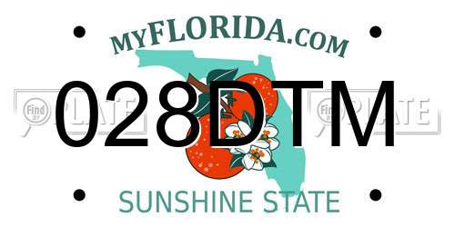 028DTM Florida License Plate