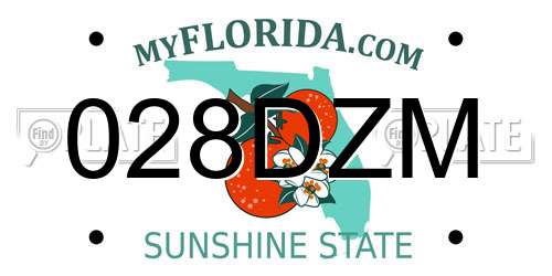 028DZM Florida License Plate