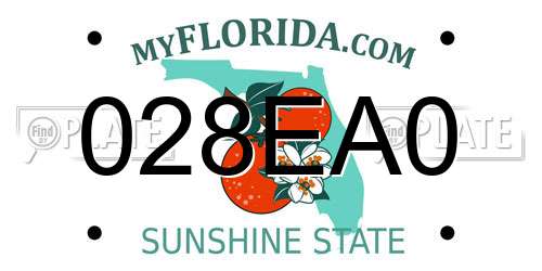 028EA0 Florida License Plate