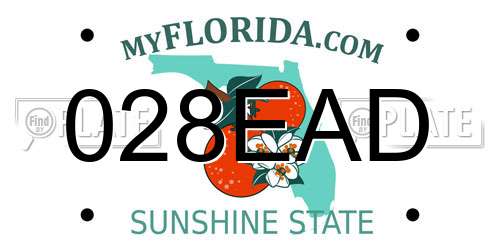 028EAD Florida License Plate